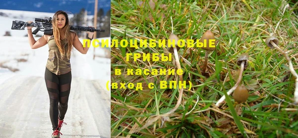 Альфа ПВП Алексин