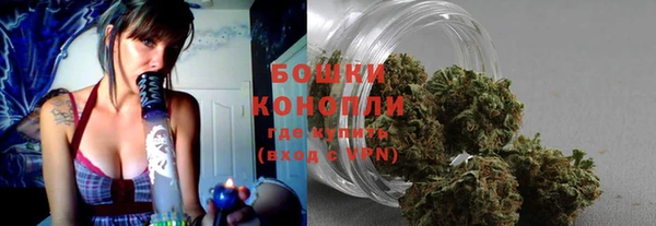 PSILOCYBIN Абаза