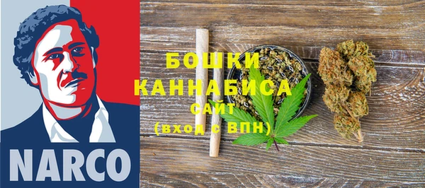 PSILOCYBIN Абаза