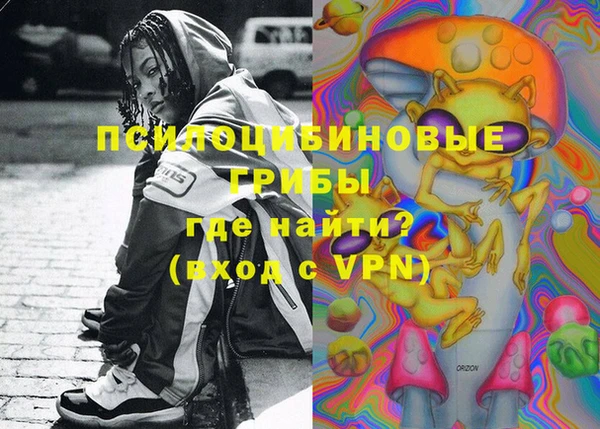 PSILOCYBIN Абаза