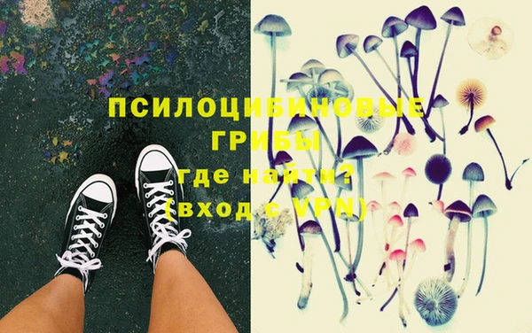 PSILOCYBIN Абаза