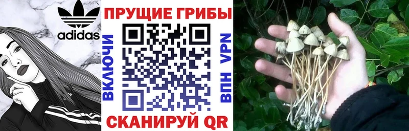 где найти   Троицк  Галлюциногенные грибы мухоморы 