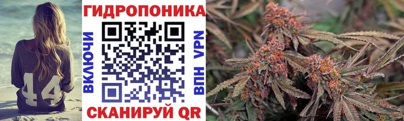 Шишки марихуана планчик  магазин  наркотиков  Троицк 